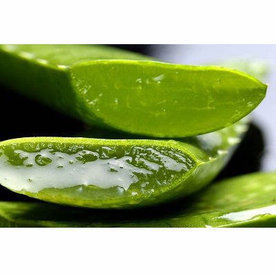 L'Aloe vera