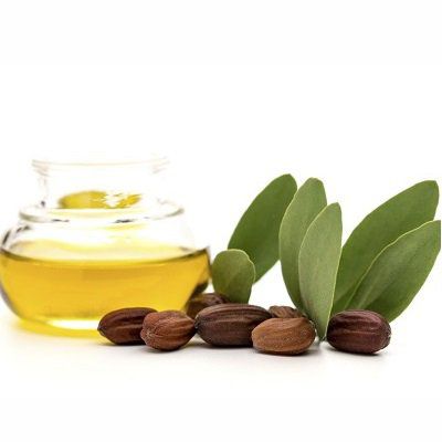 L'huile de jojoba