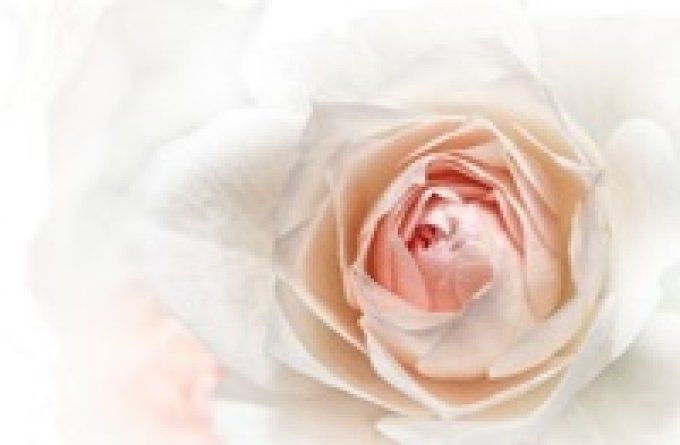 9 mini billes rose en sachet organza
