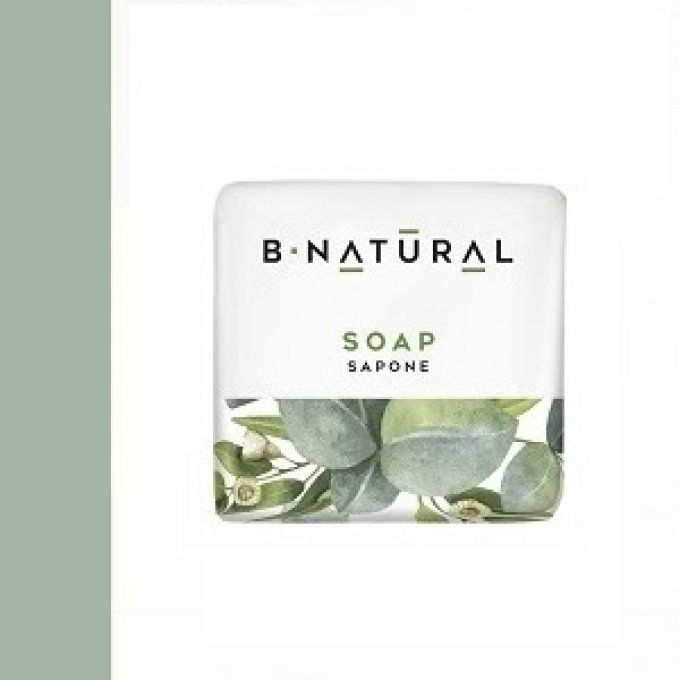 Savon d'accueil B Natural 20g 