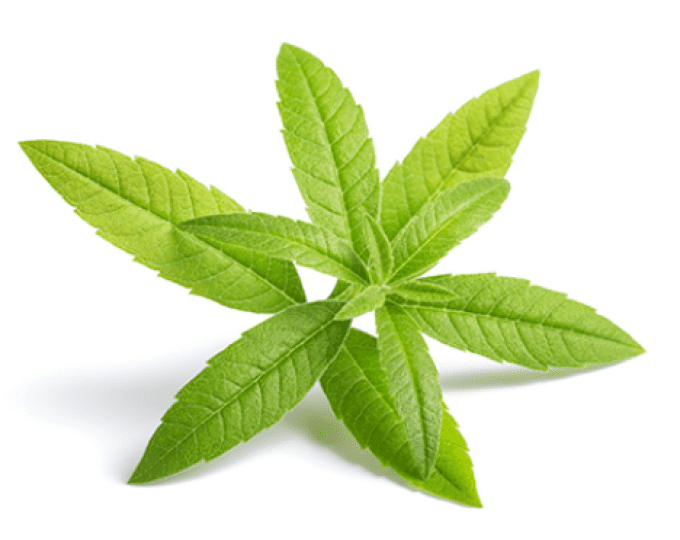 Savon 100g boîte métal Tour génoise Corse