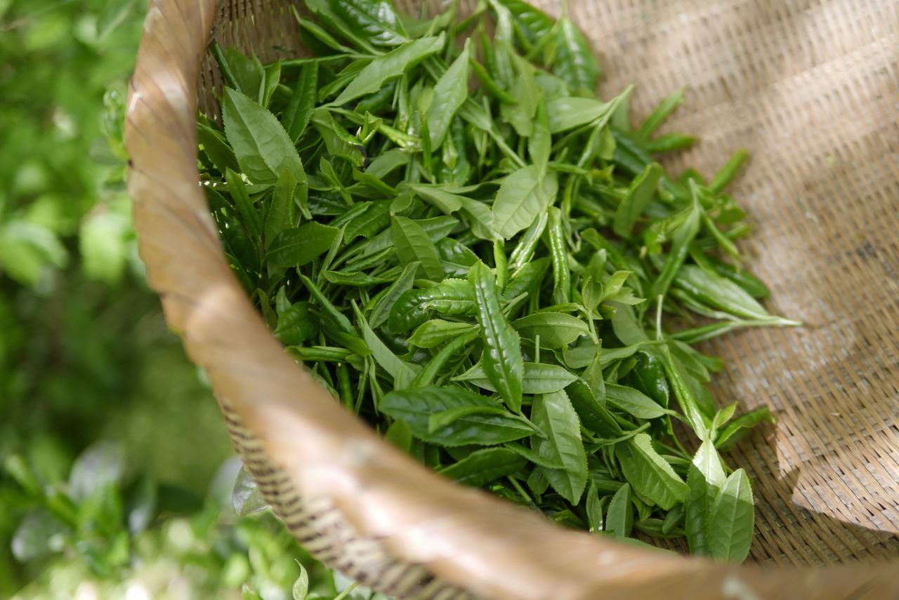 produit d'accueil 