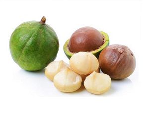 macadamia